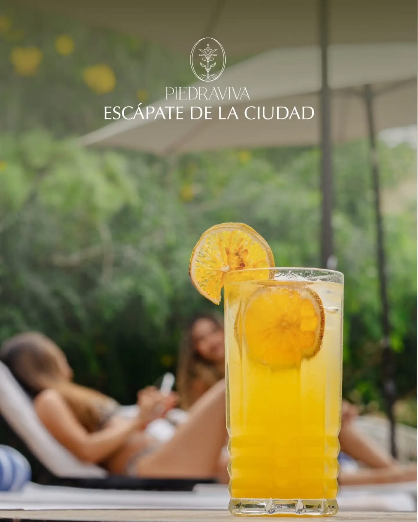 Bebida refrescante junto a la alberca de Piedra Viva